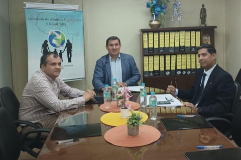 Analizarán implementación de ley que garantiza el voto de paraguayos en el exterior
